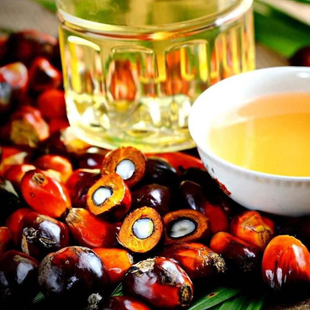 Palm oil is a versatile and widely used edible oil, rich in nutrients and antioxidants. Known for its high stability and long shelf life, it is extensively utilized in the food industry, cosmetics, and biofuels. Our sustainably sourced palm oil meets the highest standards of quality and safety.